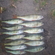 Eurasian perch