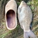 Prussian carp