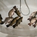 Tench