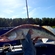 Pike perch