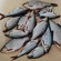 Carp bream