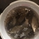 Prussian carp