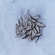 Roach