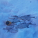 Carp bream