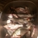 Roach