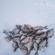 Carp bream