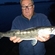 Pike perch