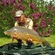 Carp