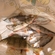Eurasian perch