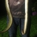 European eel