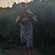 Carp bream
