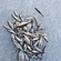 Roach