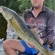 Pike perch