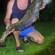 Wels catfish