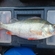 Eurasian perch
