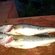 Pike perch