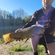 Tench