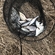 Carp bream