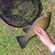 Tench
