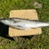 Pike perch
