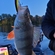 Eurasian perch