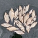 Carp bream