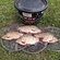 Prussian carp