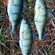 Eurasian perch