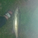Pike perch