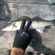 Pike perch