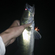 Pike perch