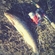 Ocean Trout