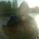Eurasian perch
