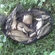 Carp bream
