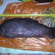 Tench