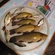 Tench