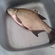 Carp bream