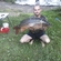 Carp