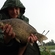 Crucian carp