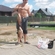 Carp bream