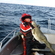 Atlantic cod