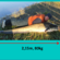 Wels catfish