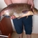 Carp bream