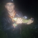 Tench