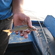 Wels catfish