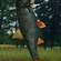 Roach