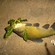 Tench