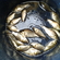 Crucian carp
