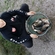 Carp bream