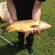 Carp